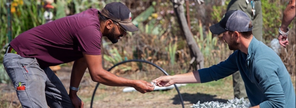 Homeless Garden Project